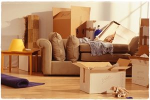 household shifting pune Nellore